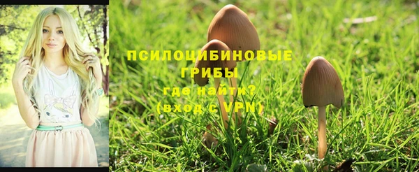 ALPHA PVP Арсеньев