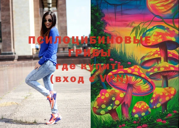 кокс Аркадак