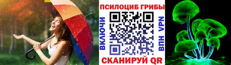 даркнет сайт  ОМГ ОМГ рабочий сайт  Галлюциногенные грибы Psilocybe  Райчихинск 